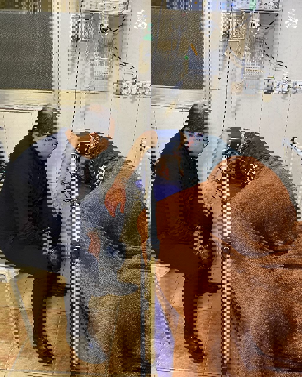 2174474
