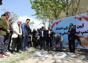 کلنگ کمپ تیم ملی هندبال به زمین خورد