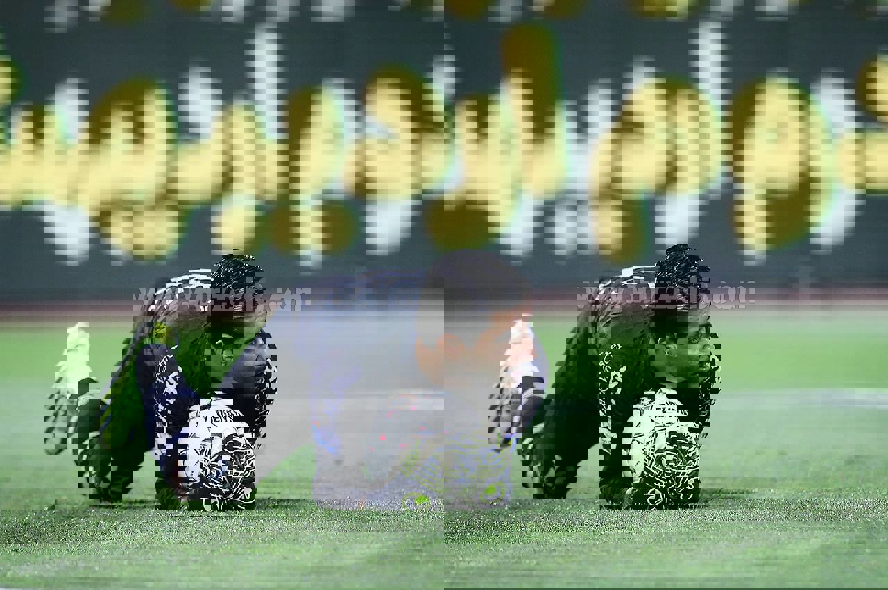 2176384