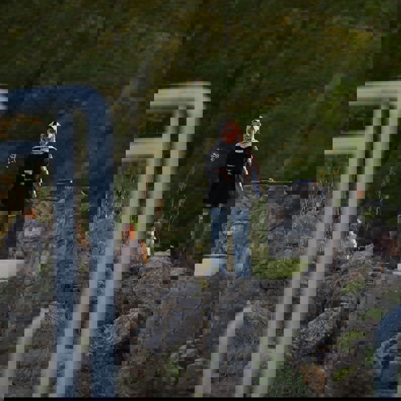2176504