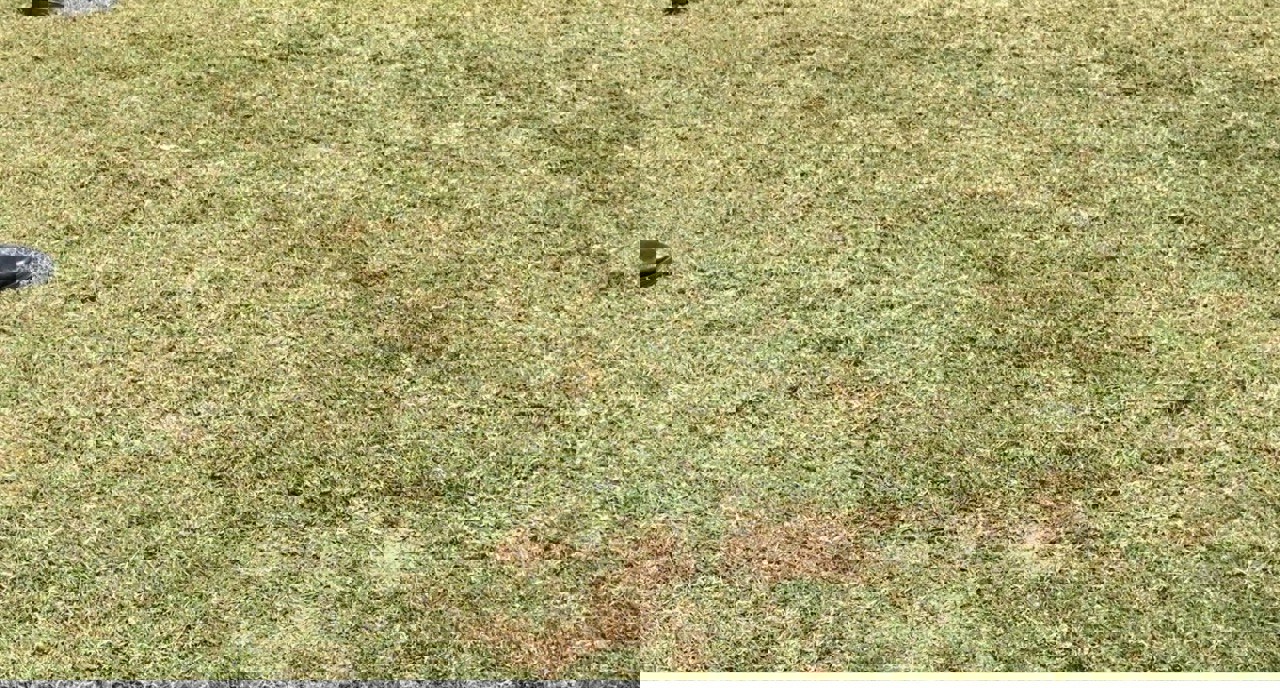 2177549