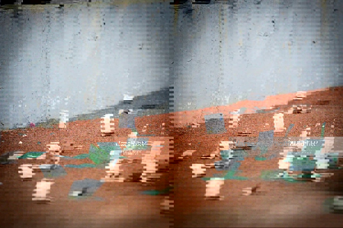 2178020
