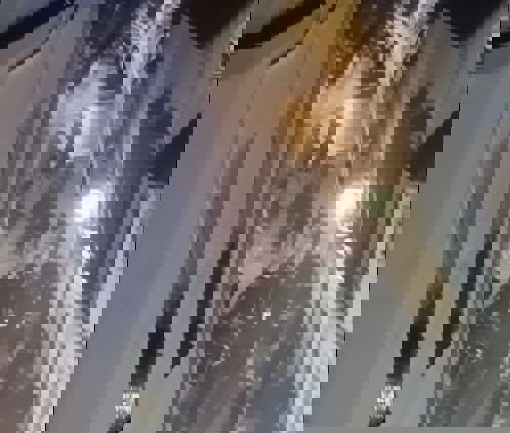 2180780