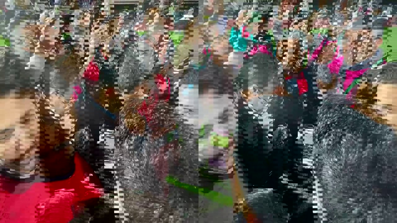 2181408