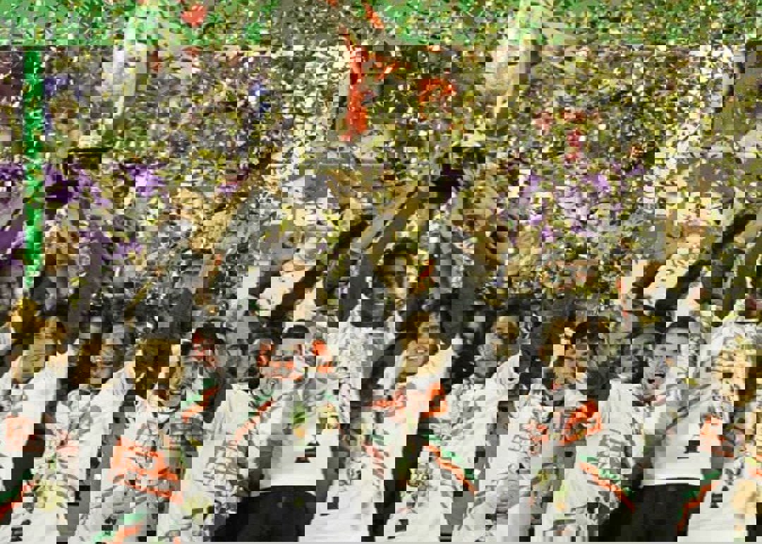 2181724