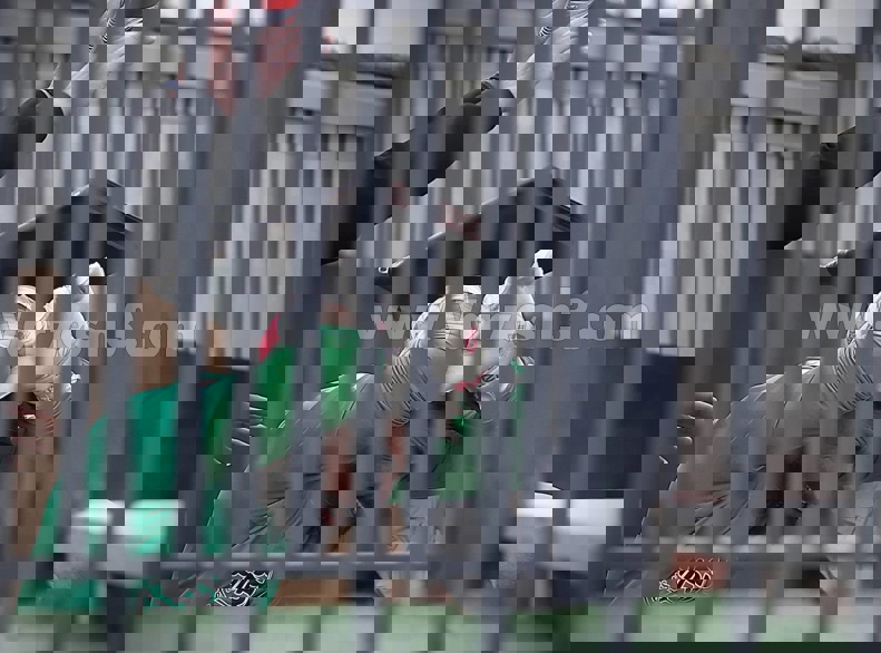 2181944