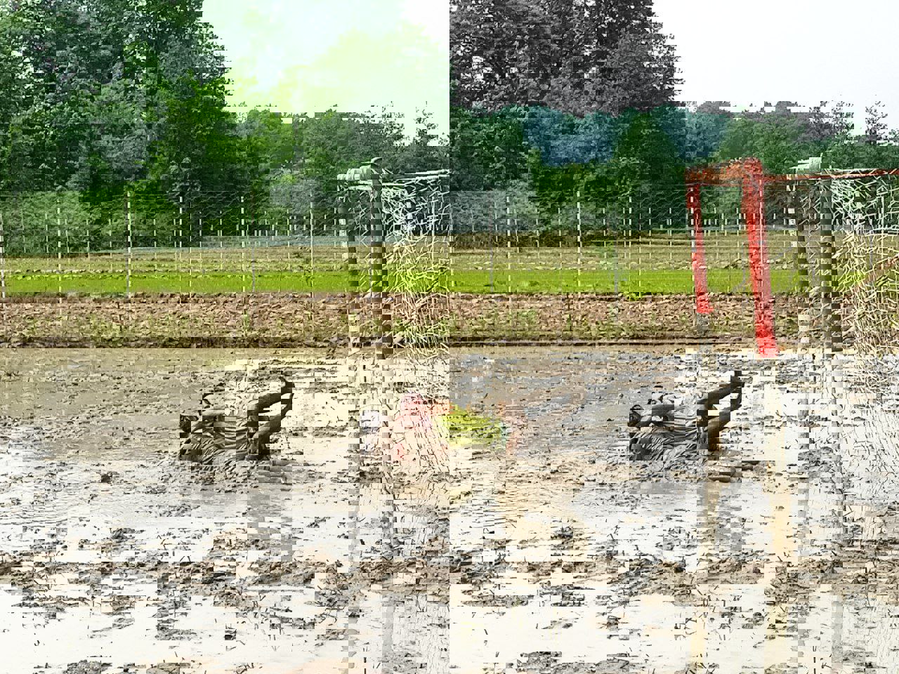 2182655