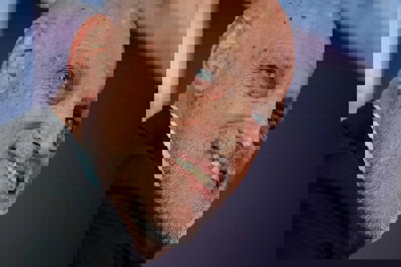 2183647