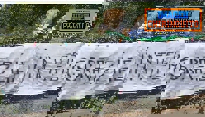 2183475
