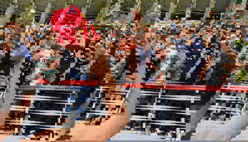 2184146
