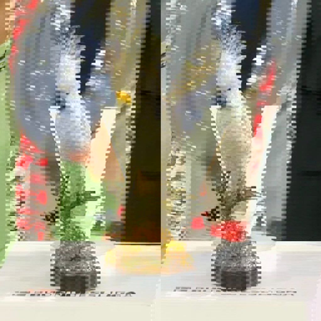 2184913