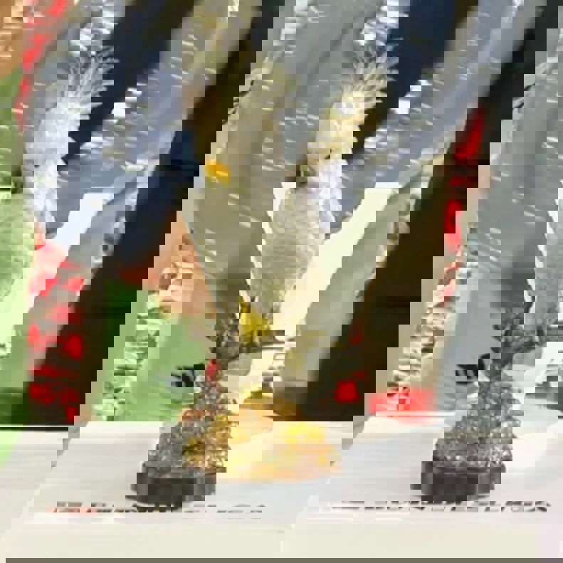 2184913
