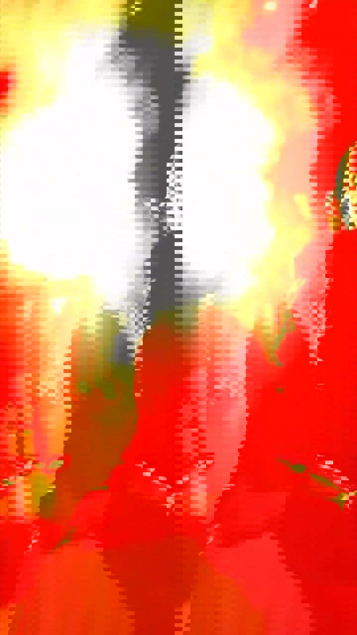 2186603