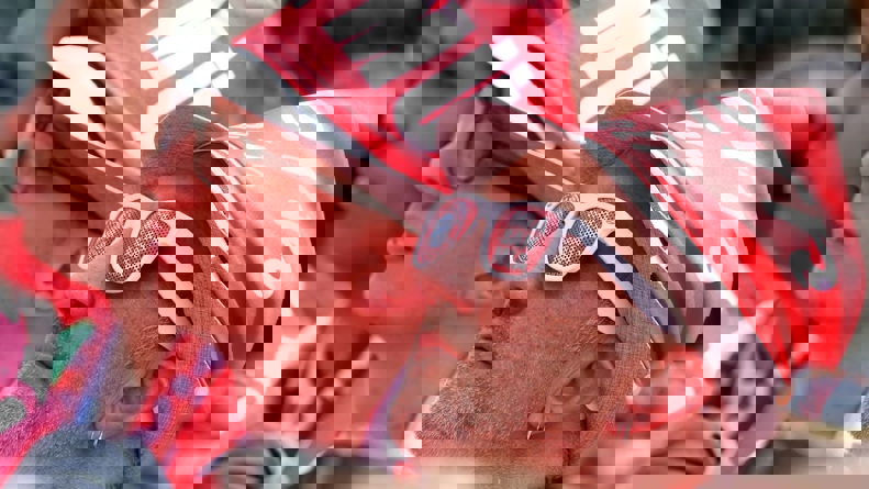 2188369