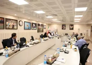 برگزاری نشست شورای راهبردی فنی کمیته ملی پارالمپیک