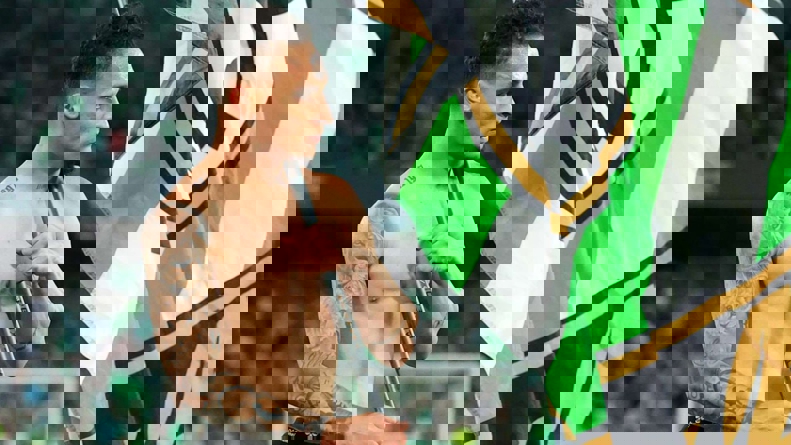 2191604