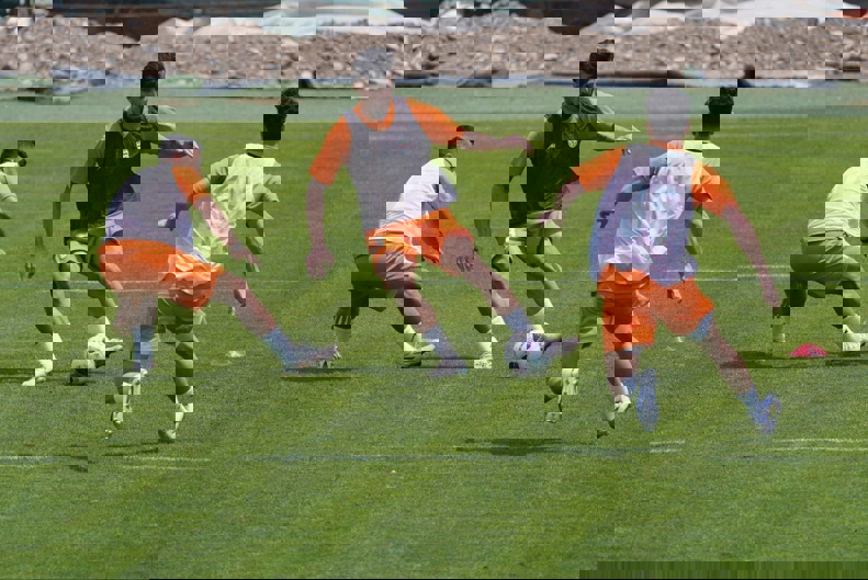 2191606