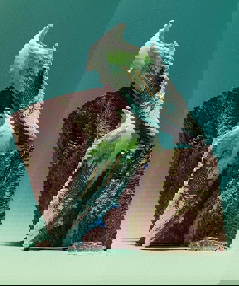 2191705