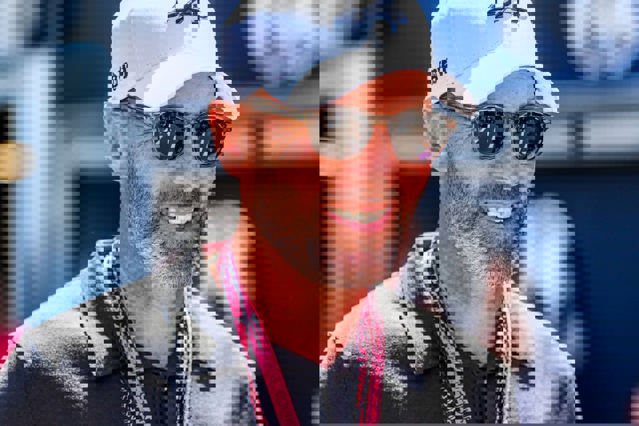 2191668