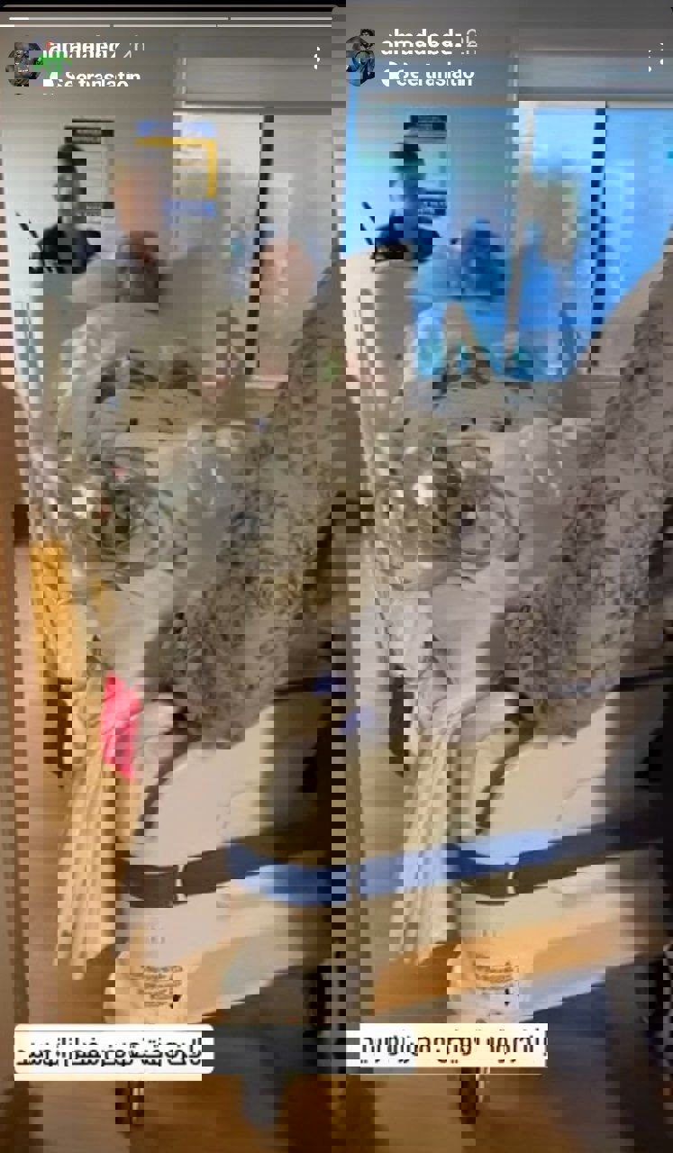 2192436
