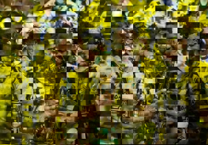 جایزه ۲۸۵ میلیاردی در انتظار بازیکنان الاتحاد