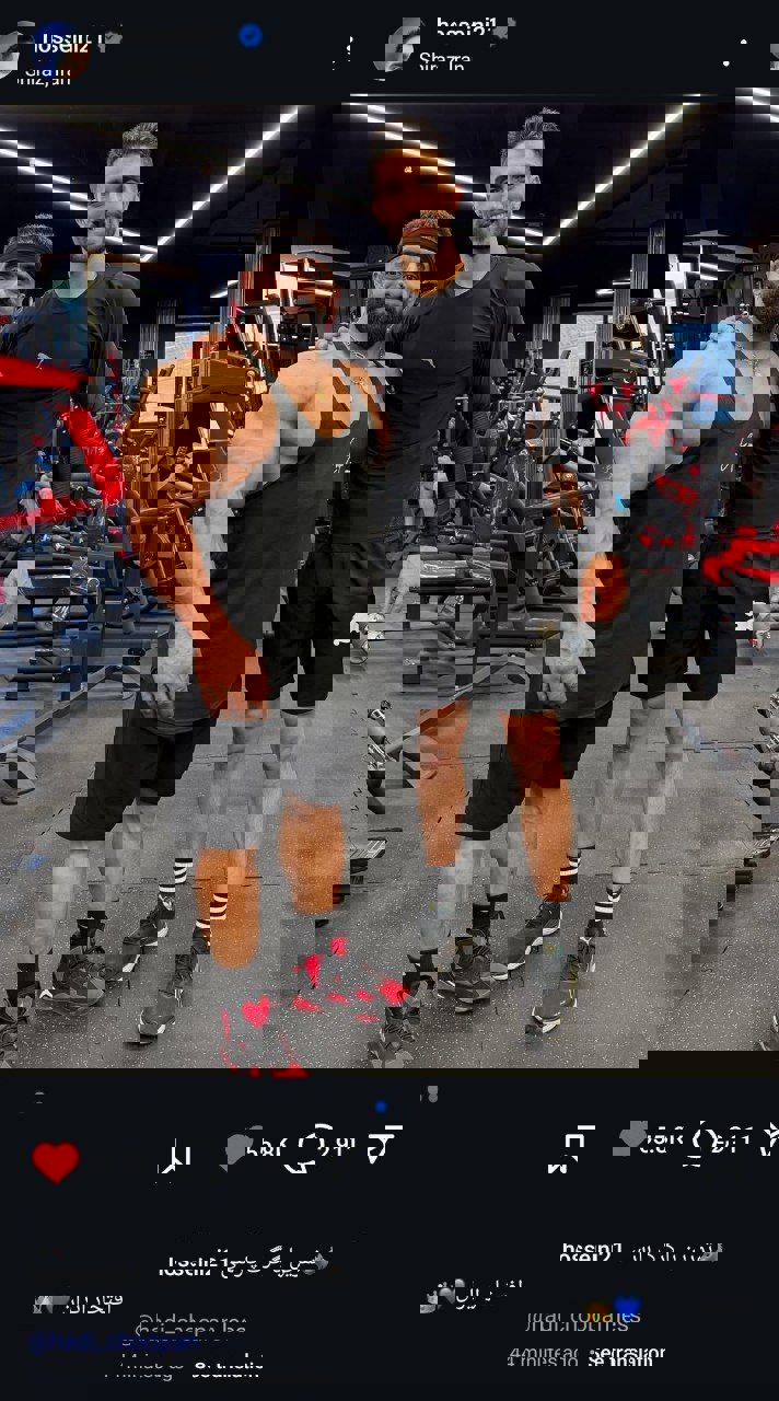 2193713