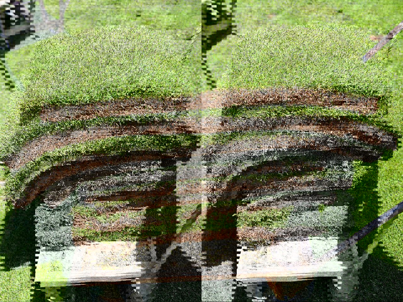 2196356
