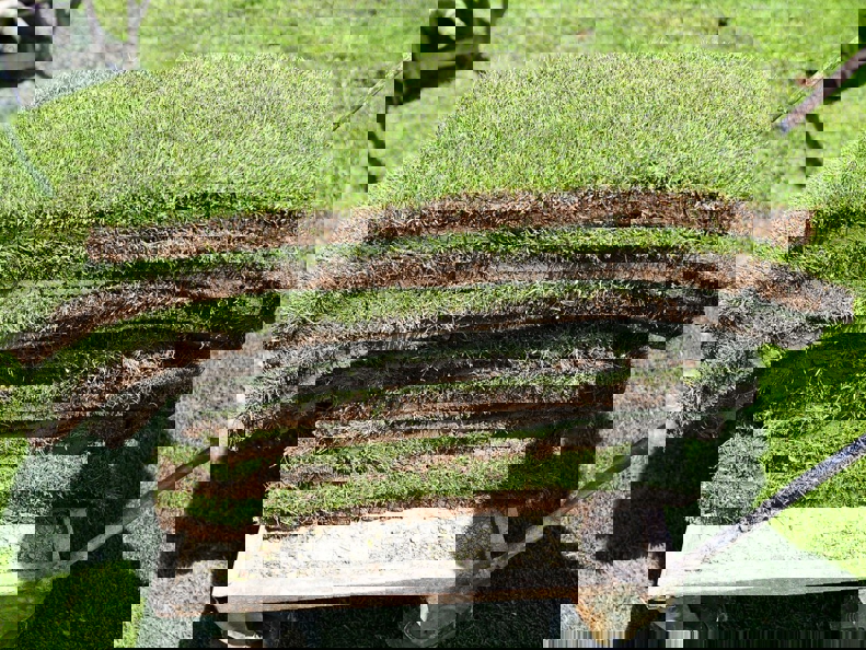 2196356