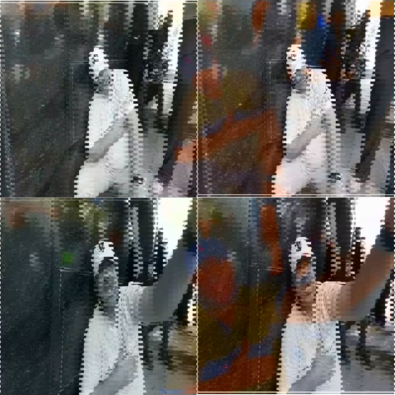 2196456