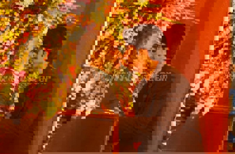 2196803