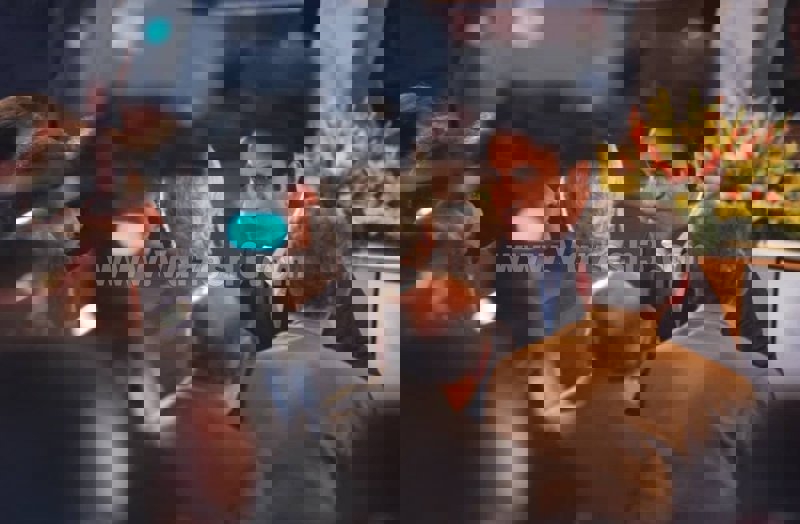 2196814