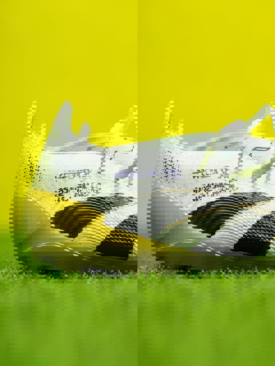 2197624