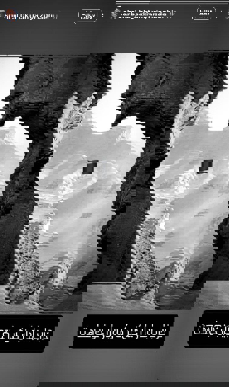 2198916
