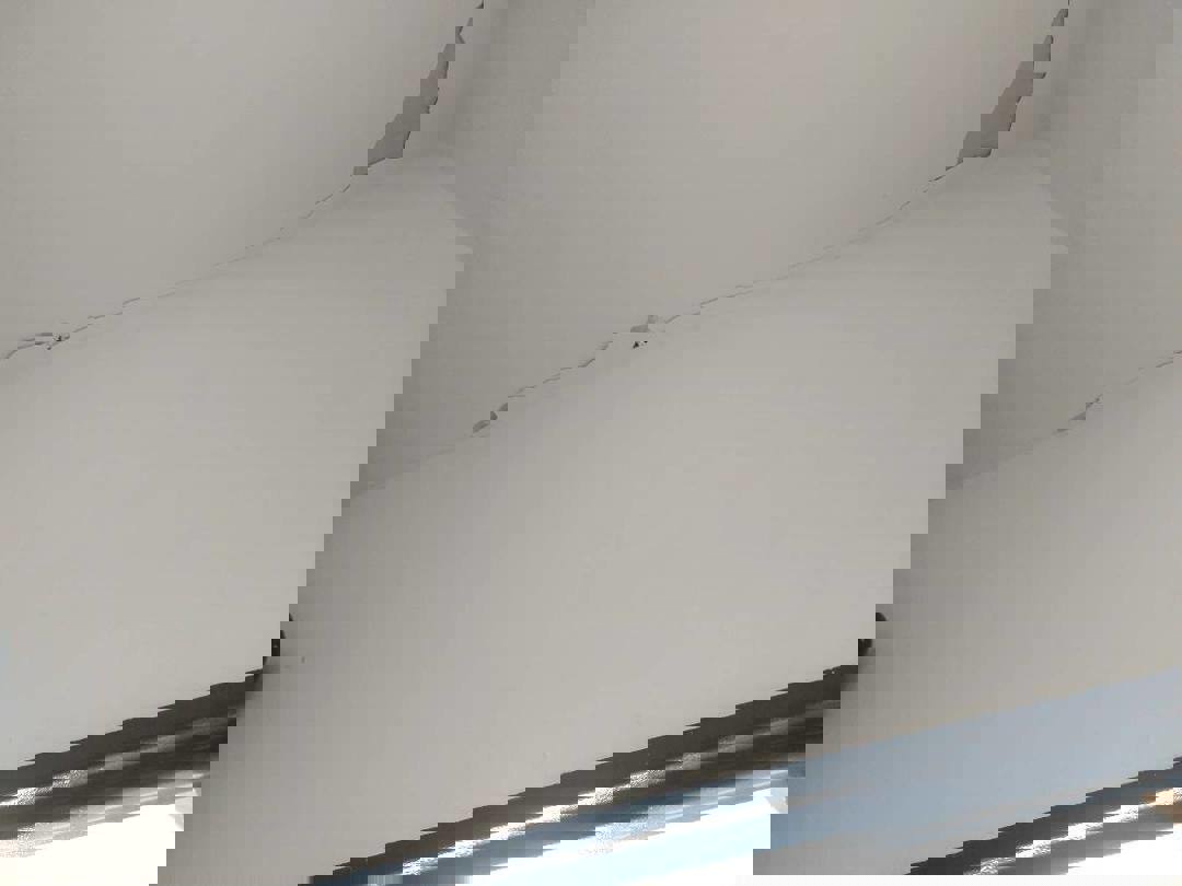 2202834
