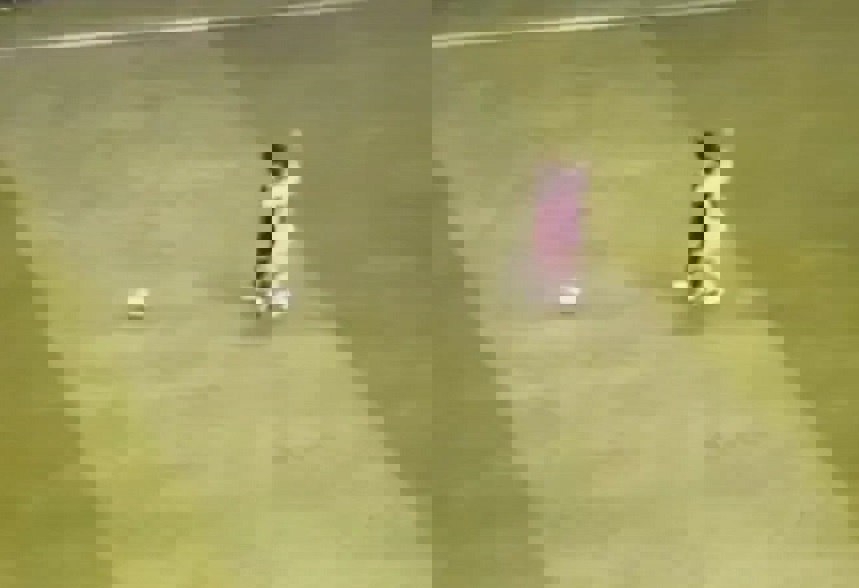 2203598