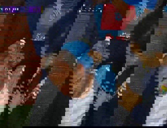 2203639