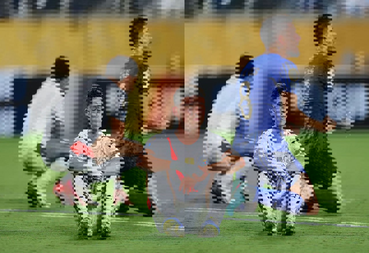 2203839