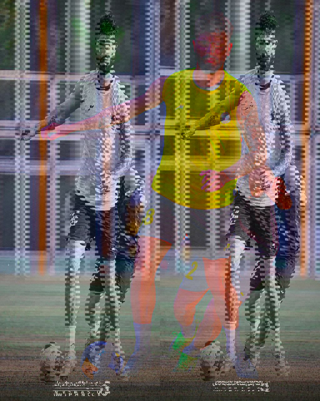 2203978
