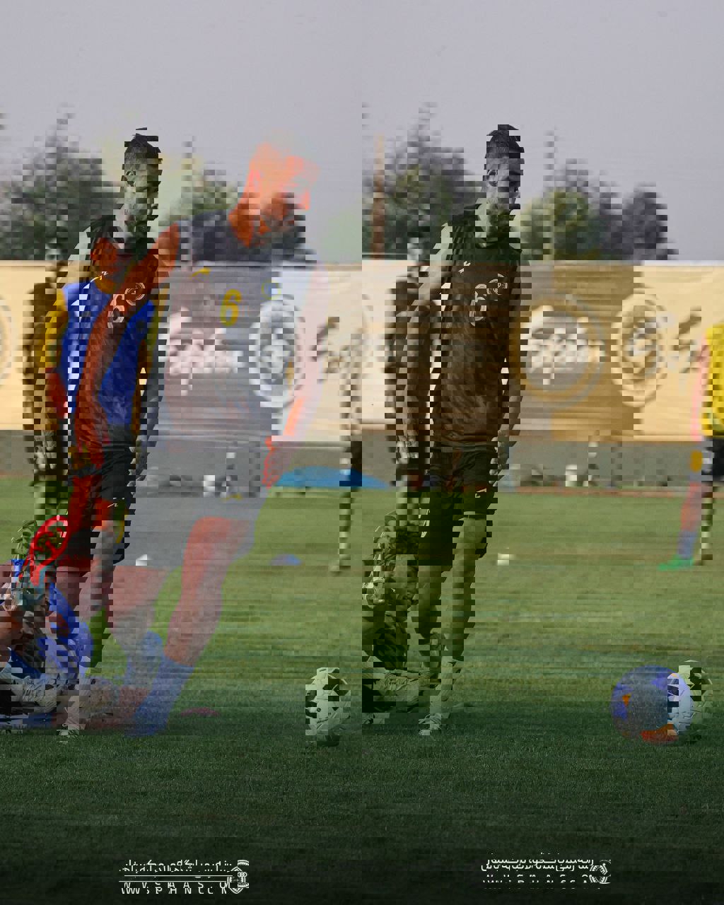 2204186