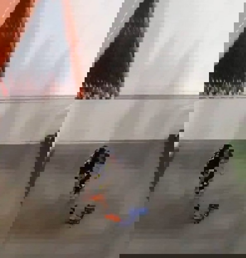 2204348