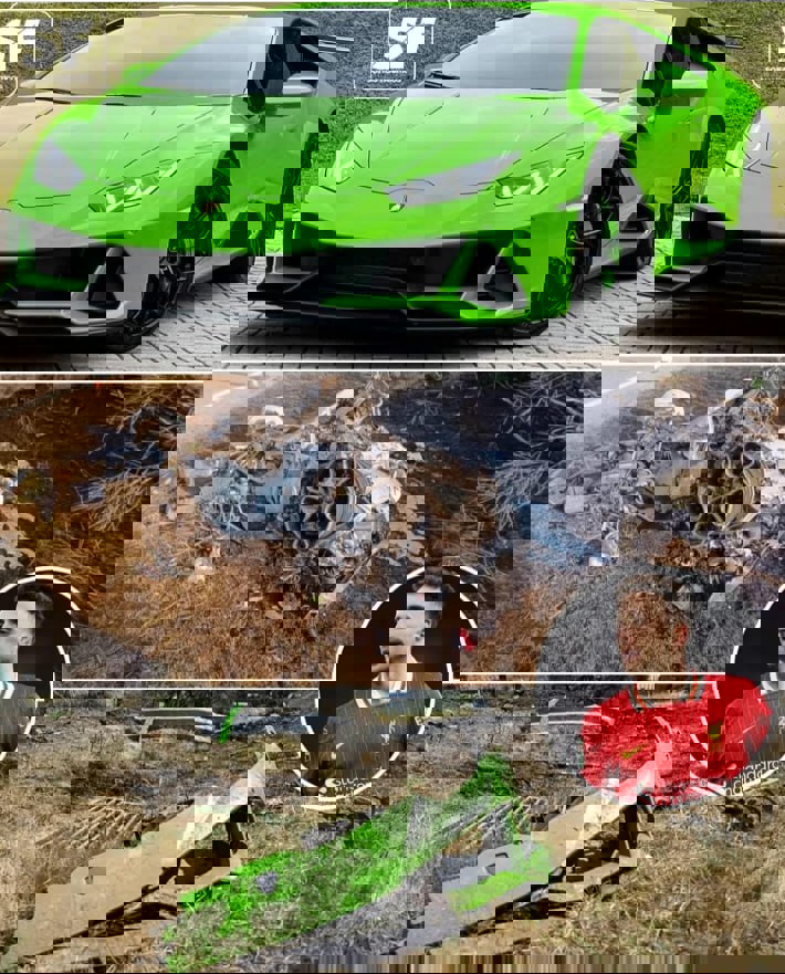 2204631