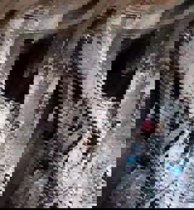 2204739