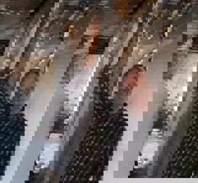 2204740
