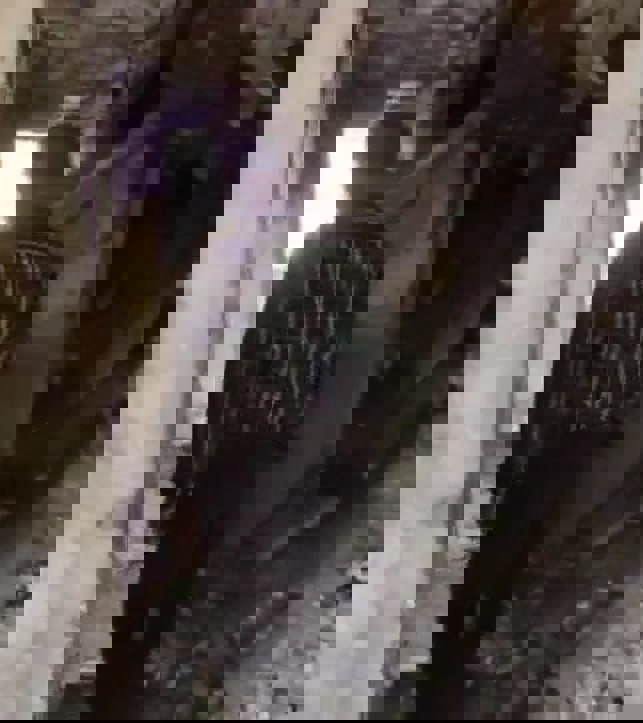 2204738