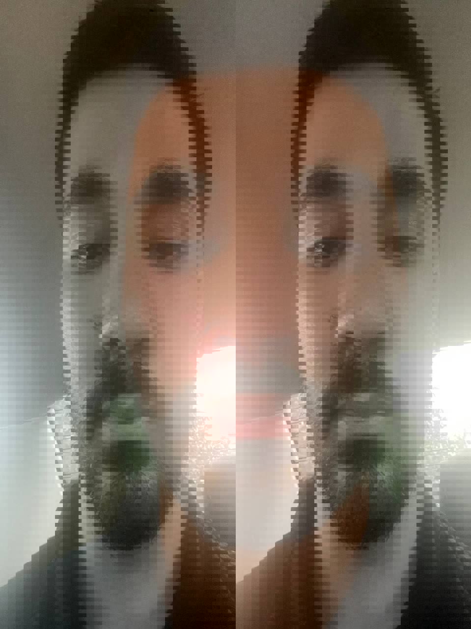 2204986