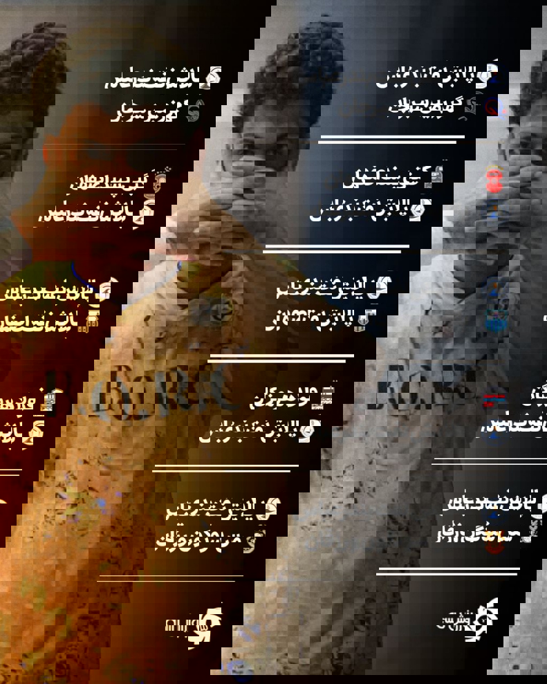 2205097