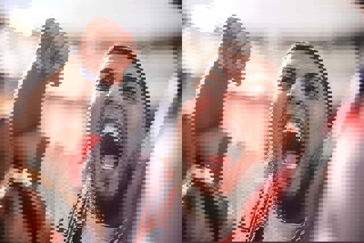 2206526