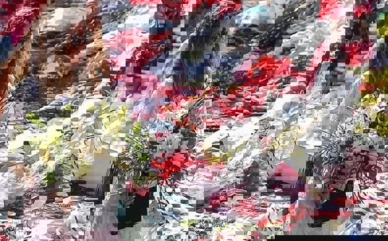 2206944