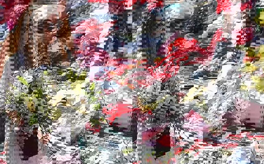 2206944
