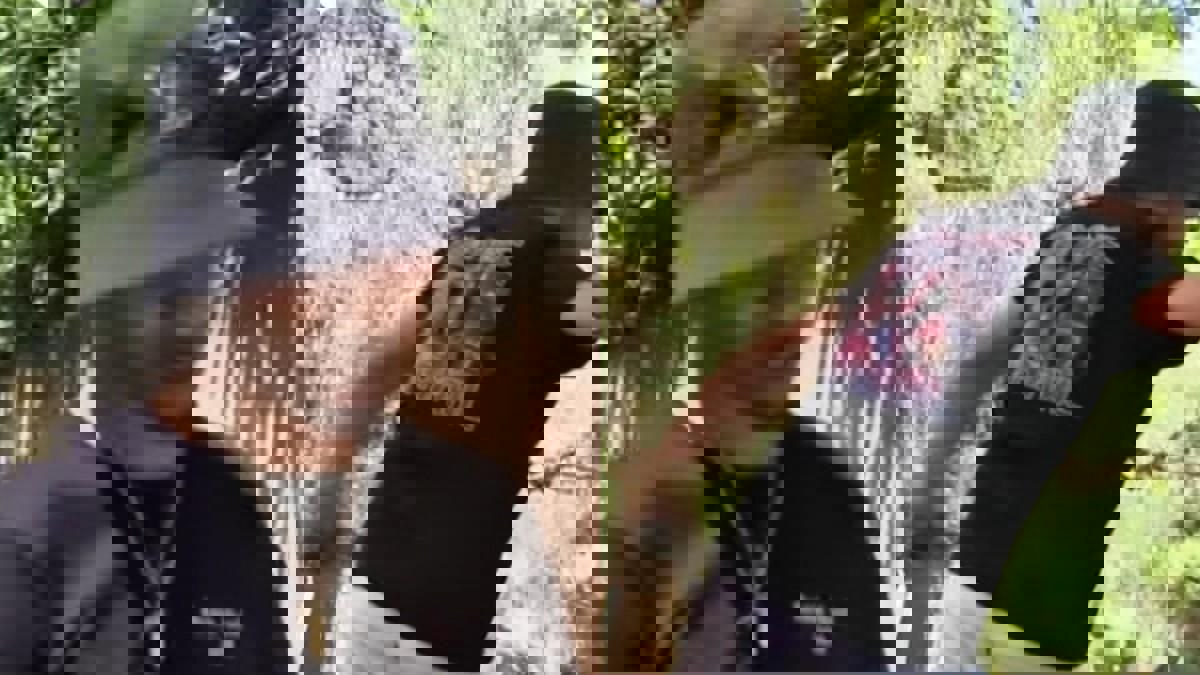 2208146